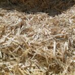 قیمت هر کیلو کاه