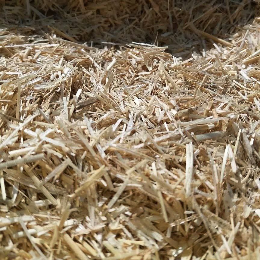 قیمت هر کیلو کاه